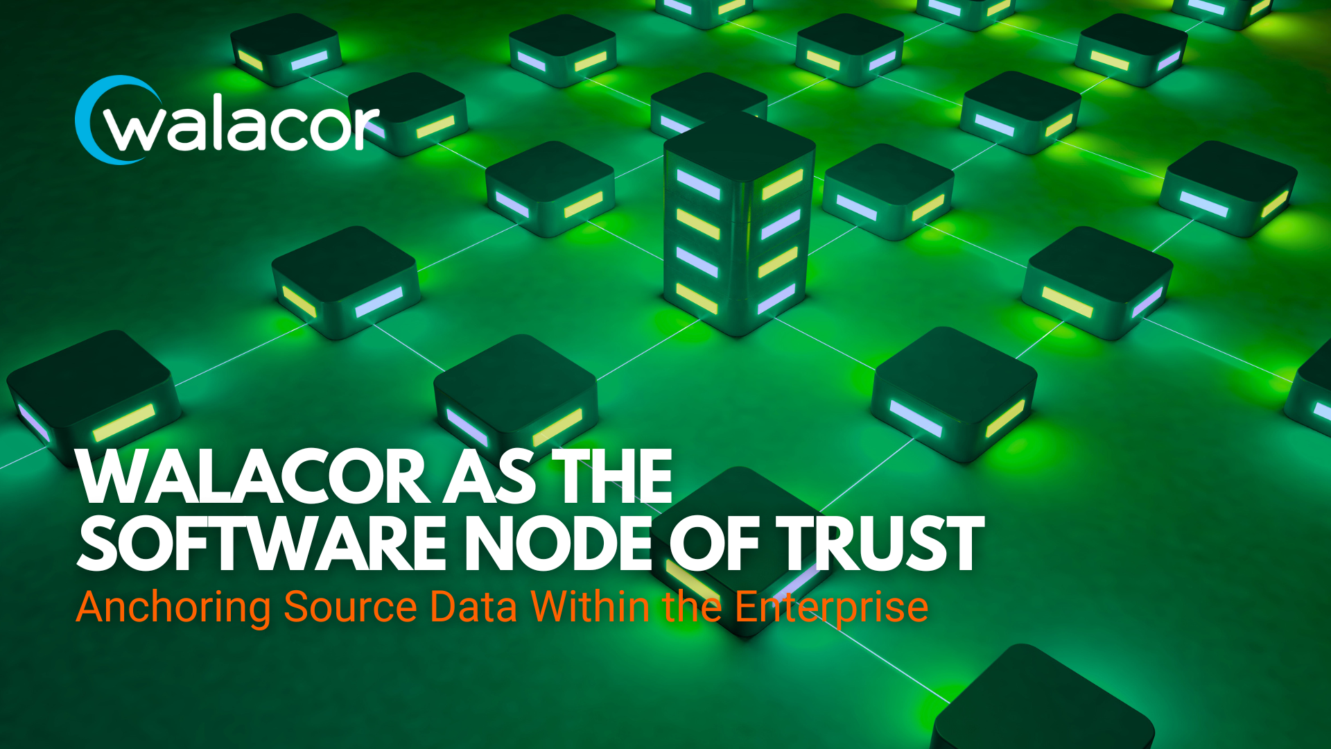 Walacor as the Software Node of Trust