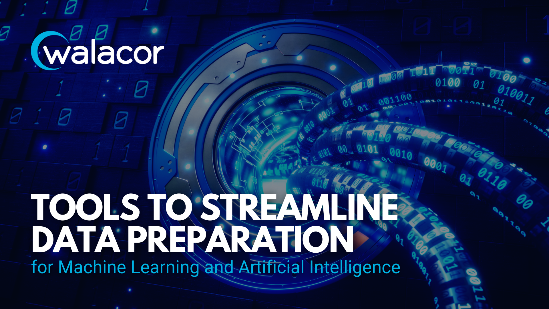 Streamlining Data Preparation with Walacor Data Tracker