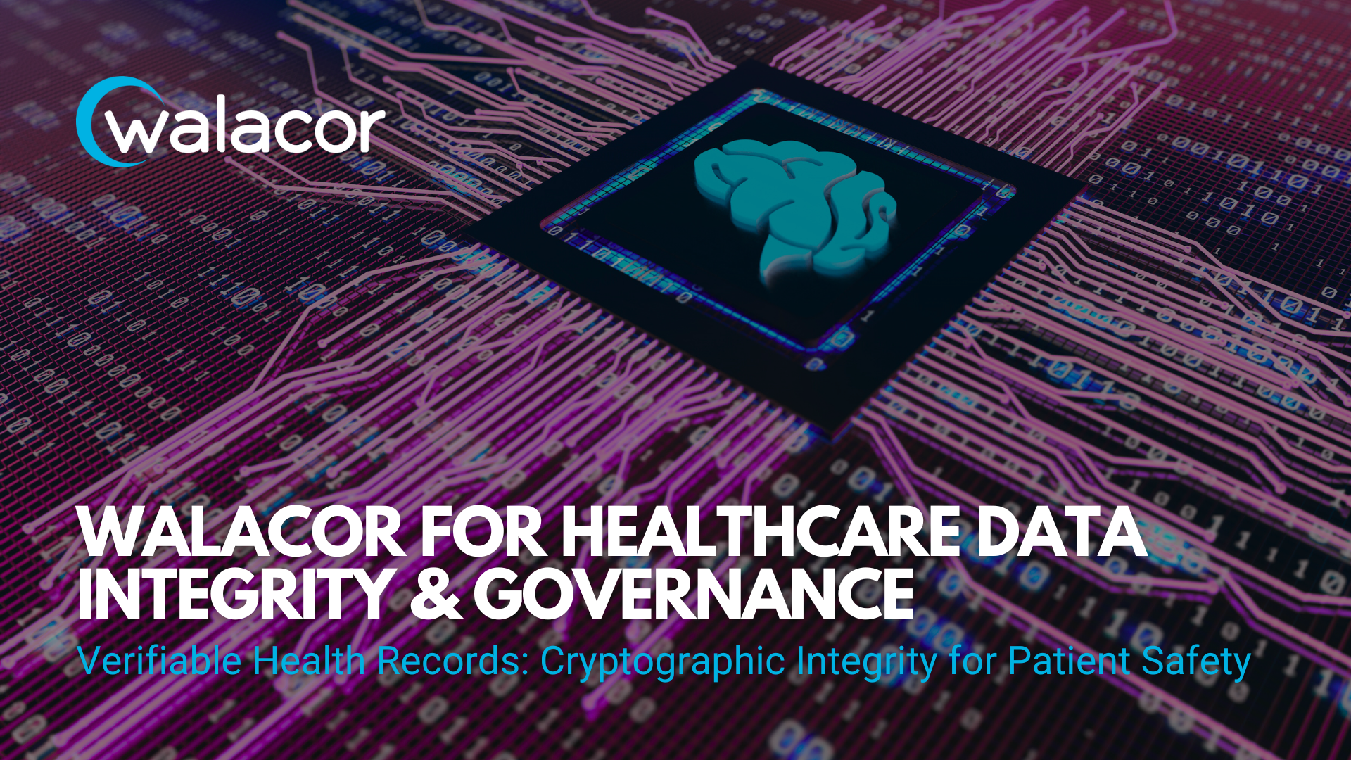 Walacor for EHR Integrity
