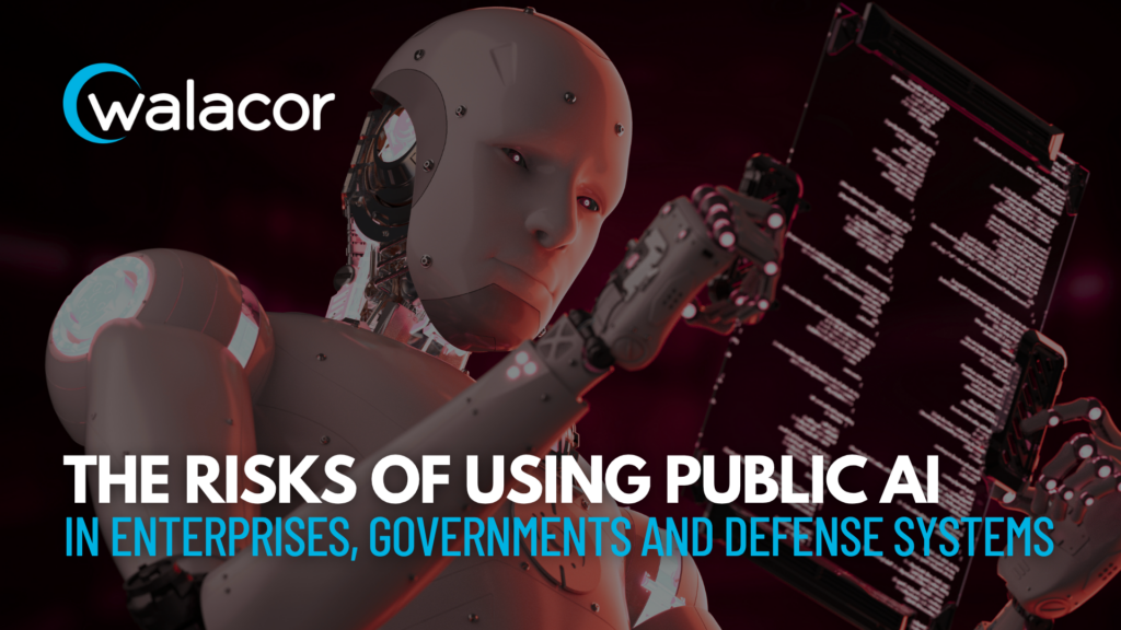 The Risks of Using Public AI