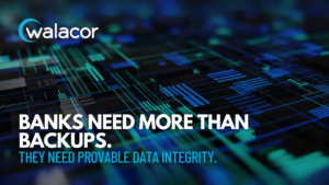Provable Data Integrity