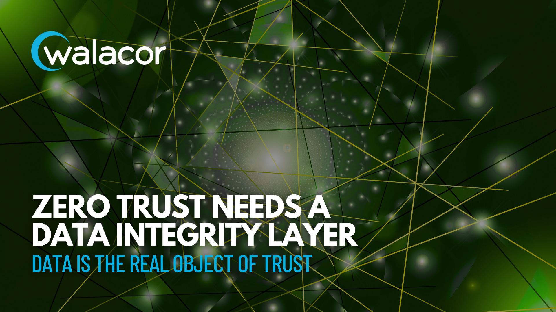 Zero Trust Needs a Data Integrity Layer